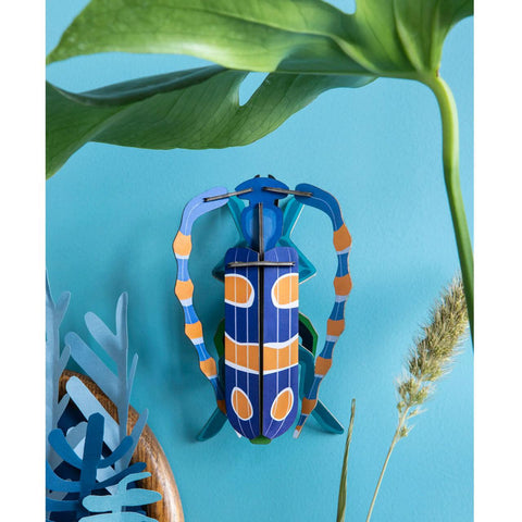 Rosalia Beetle Wall Art Kit