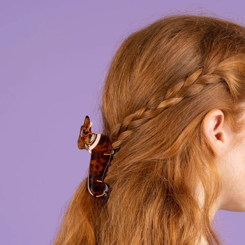 Dachshund Hair Claw