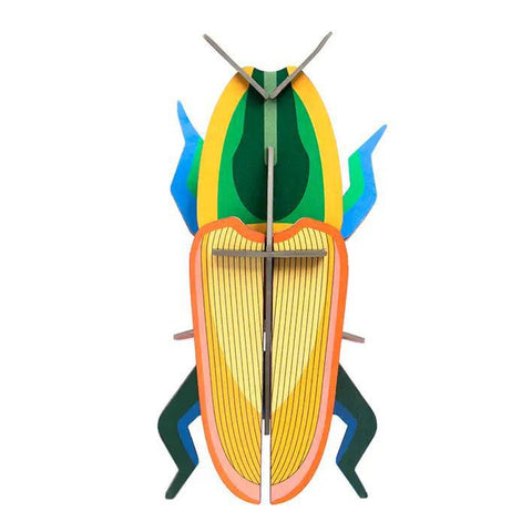Madagascar Beetle Wall Art Kit