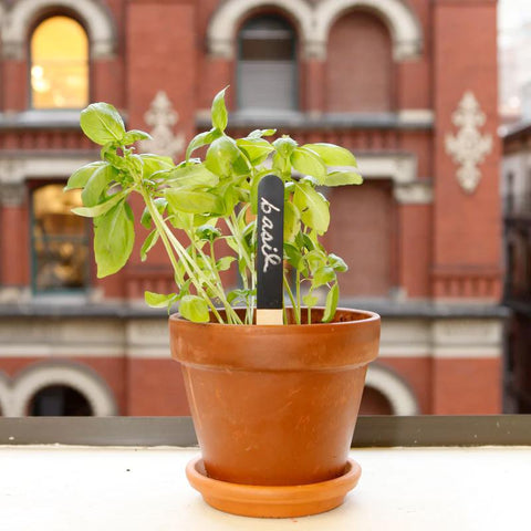 Reusable Garden Markers