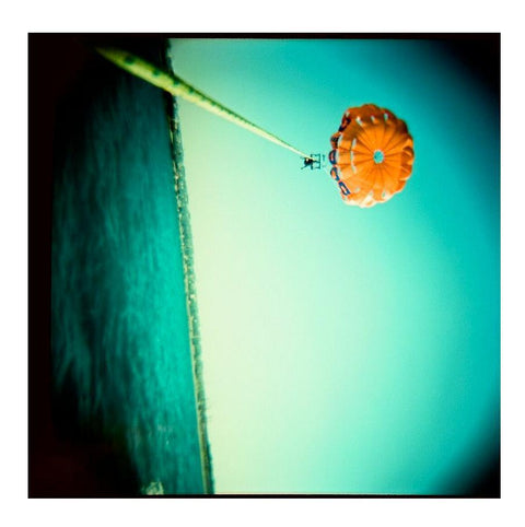 Diana F+ CMYK Camera + Flash