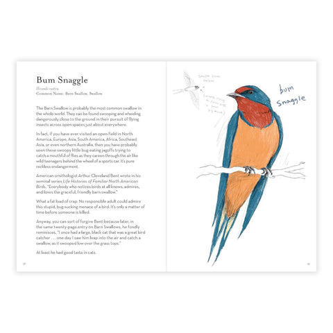 A Dumb Birds Field Guide to the Worst Birds Ever
