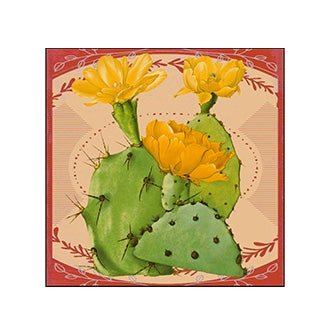 Desert Beauty Matchboxes