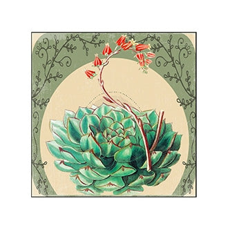 Desert Beauty Matchboxes