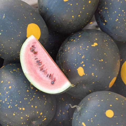 Moon + Stars Watermelon Tarot Seed Packet