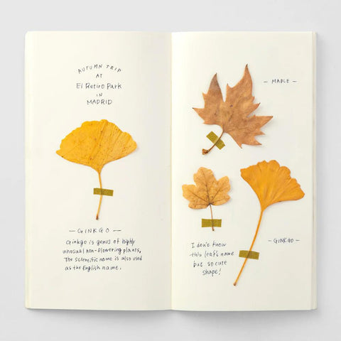TRAVELER'S notebook, Regular Size, 025 - Cream Paper Notebook