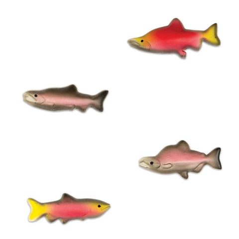 Salmon Magnets Set