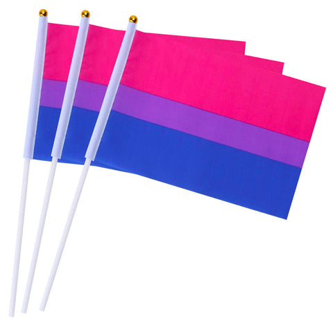 Mini Pride Flags