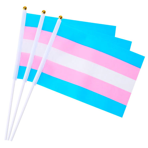 Mini Pride Flags