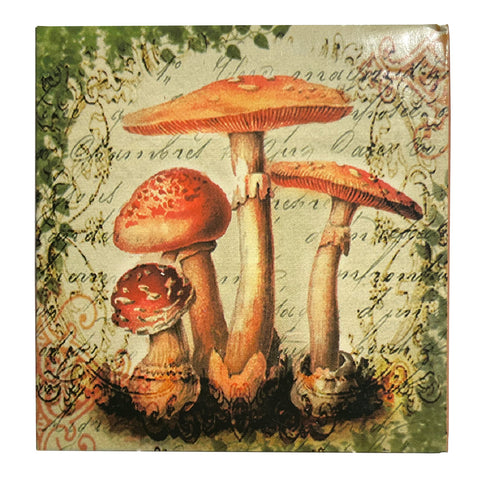Mushroom Matchboxes