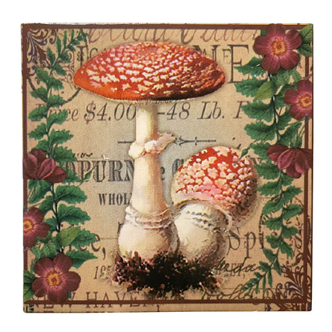 Mushroom Matchboxes