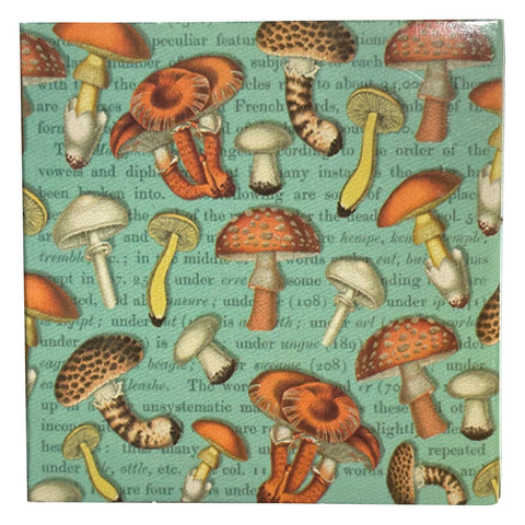 Mushroom Matchboxes
