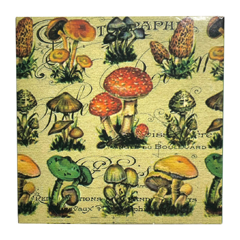 Mushroom Matchboxes