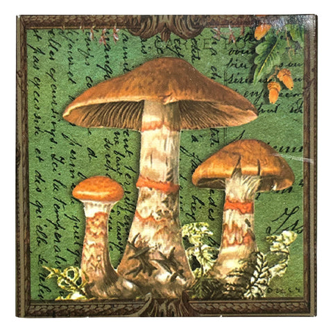 Mushroom Matchboxes