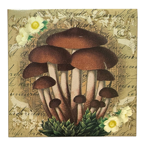 Mushroom Matchboxes