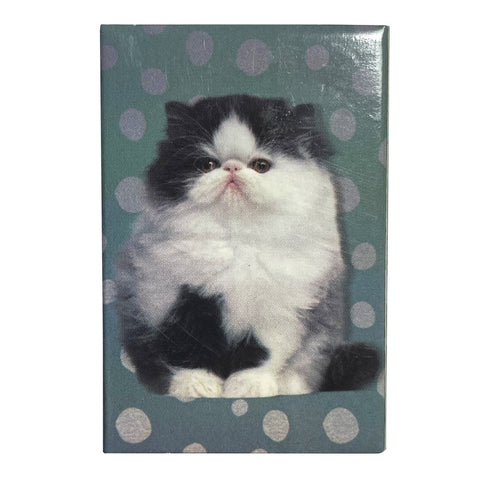 Precious Kitty Matchboxes