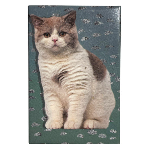 Precious Kitty Matchboxes