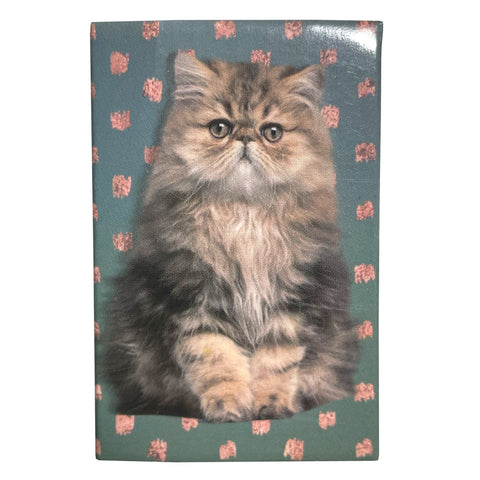 Precious Kitty Matchboxes