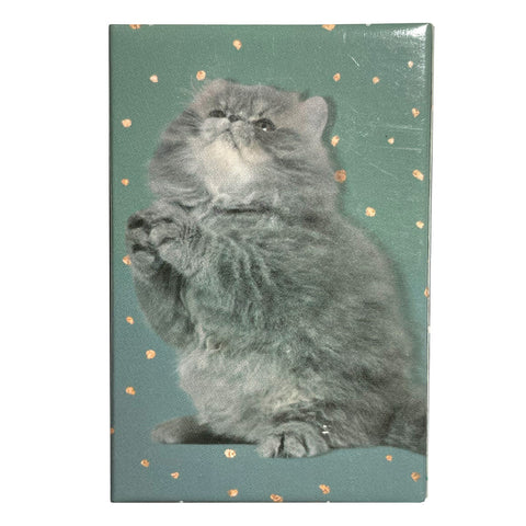 Precious Kitty Matchboxes