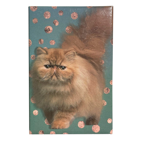 Precious Kitty Matchboxes