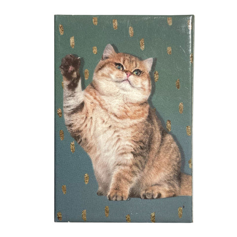 Precious Kitty Matchboxes
