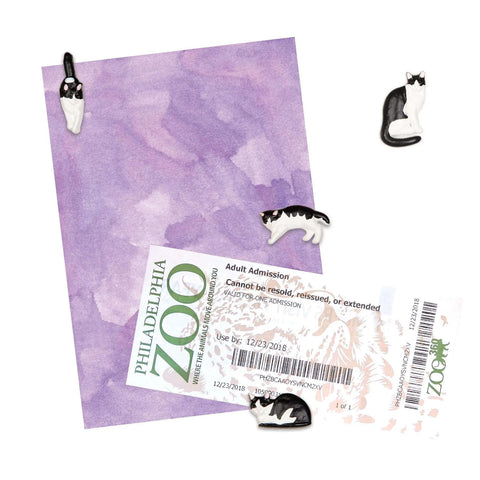 Tuxedo Cat Magnets Set