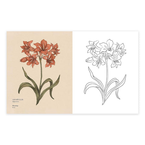 Floriography Coloring Book