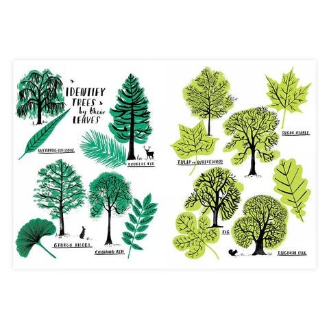 Hello Nature Activity Book