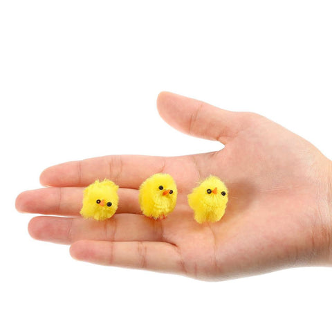 Teeny Tiny Chickies