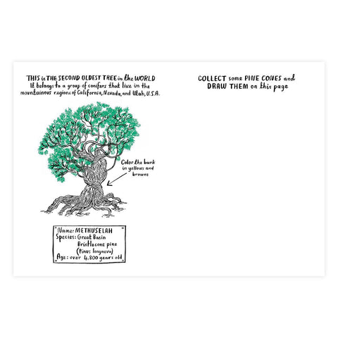 Hello Nature Activity Book