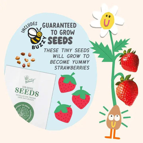 Paint + Grow Strawberry Planter Kit