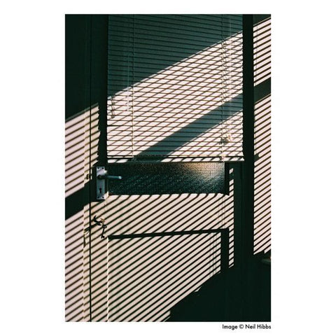 Harman Phoenix 200 Color 35mm Film