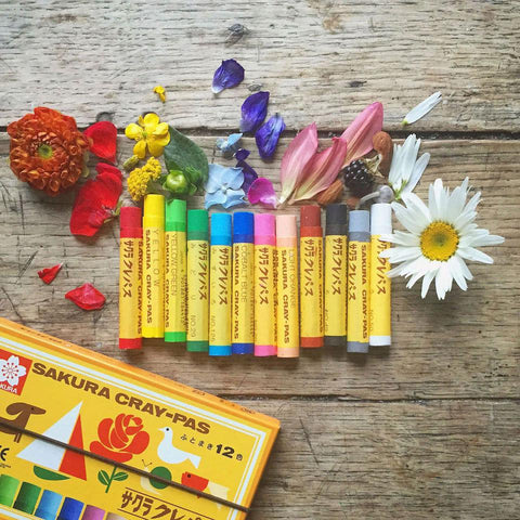 Sakura Cray-Pas Crayon Sets, Yellow