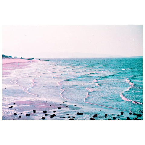 LomoChrome Purple Pétillant 35mm Film