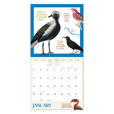Effin' Birds 2026 Wall Calendar