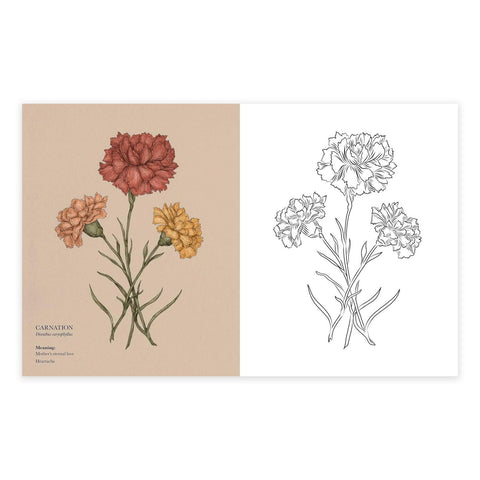 Floriography Coloring Book