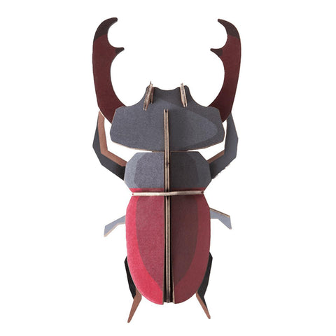 Stag Beetle Wall Art Kit