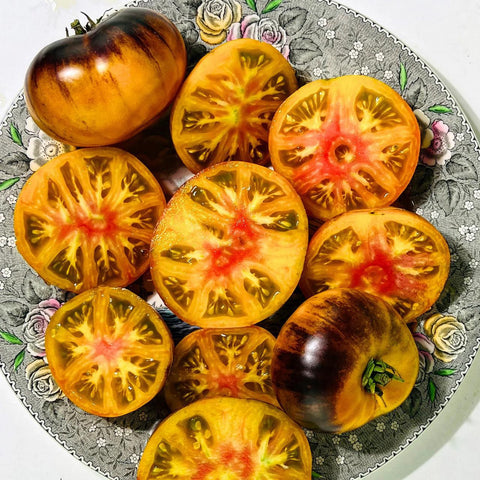Lucid Gem Tomato Tarot Seed Packet