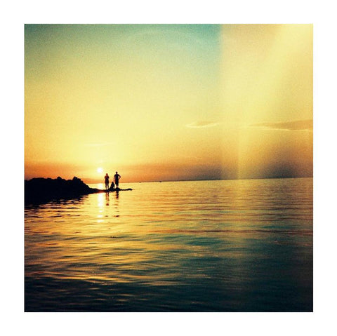 Diana F+ Camera + Flash, 10 Year Anniversary Edition