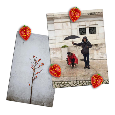 Strawberry Magnets Set