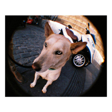 Bauhaus Baby 110 Fisheye Camera