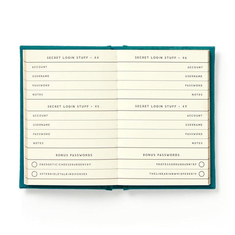 Definitely Not My Passwords Tiny Password Diary