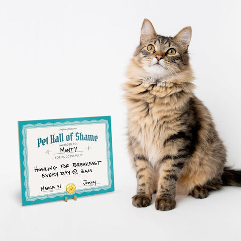 Pet Shaming Kit