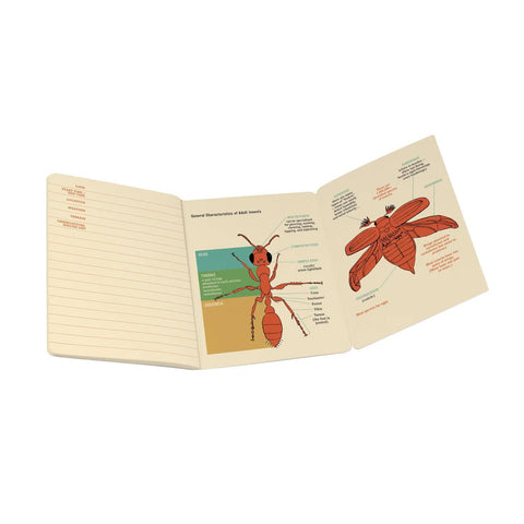 Entomology Mini Notebook