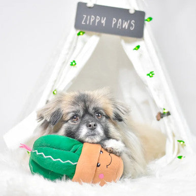 Carmen the Cactus Dog Toy