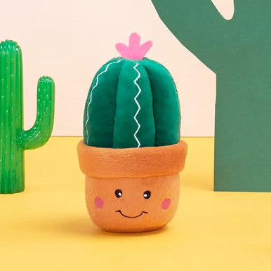 Carmen the Cactus Dog Toy