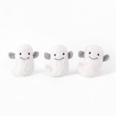 Coffin + Ghosts Dog Toy