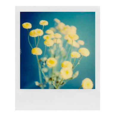 Color Polaroid Film for SX-70