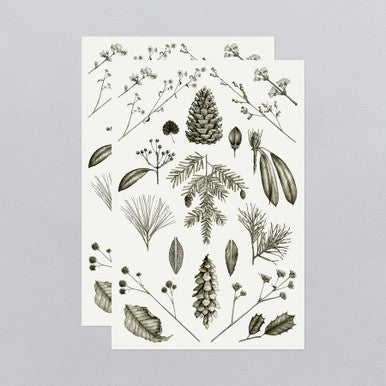 Conifers Tattoo Sheets