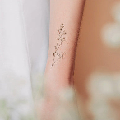 Conifers Tattoo Sheets